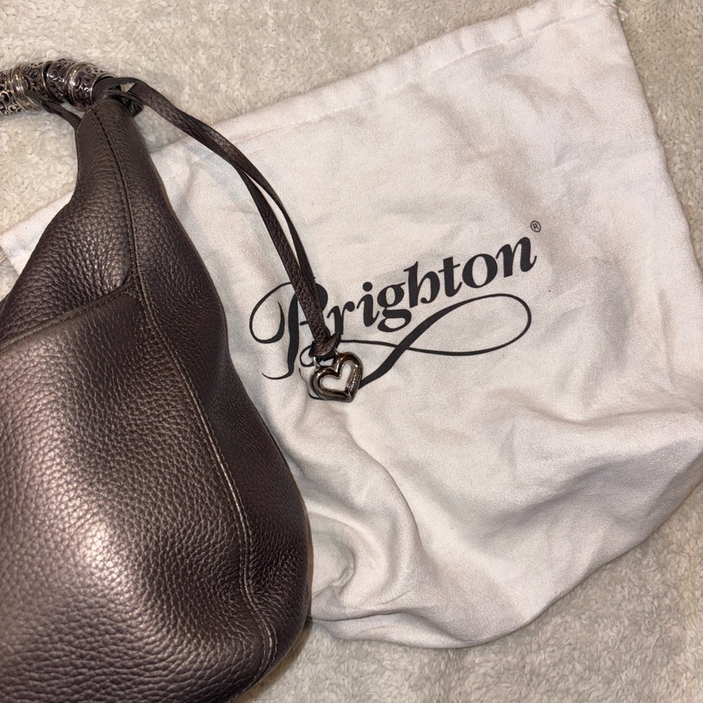 Brighton Metallic Leather Bag